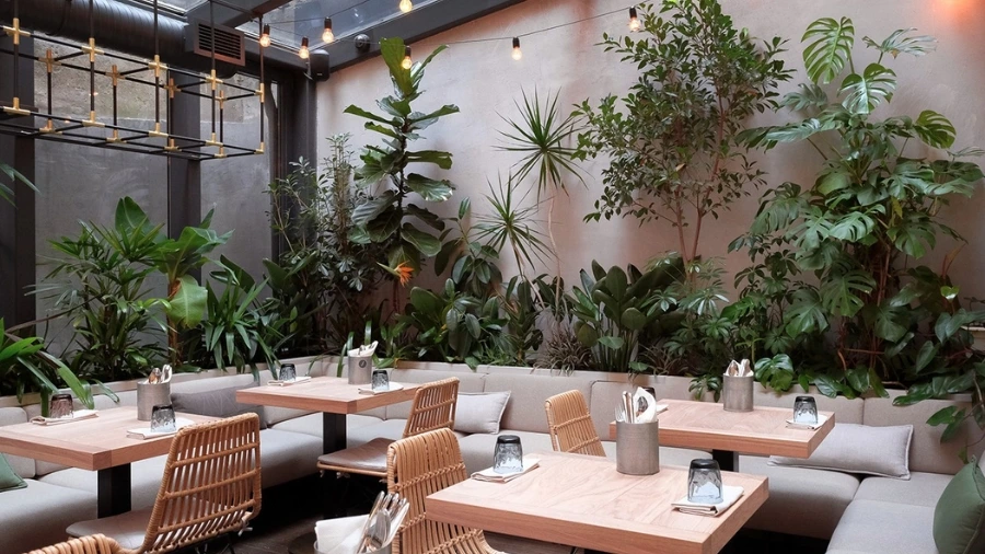 Vì sao quán cà phê nhỏ bắt buộc phải có SOP vận hành